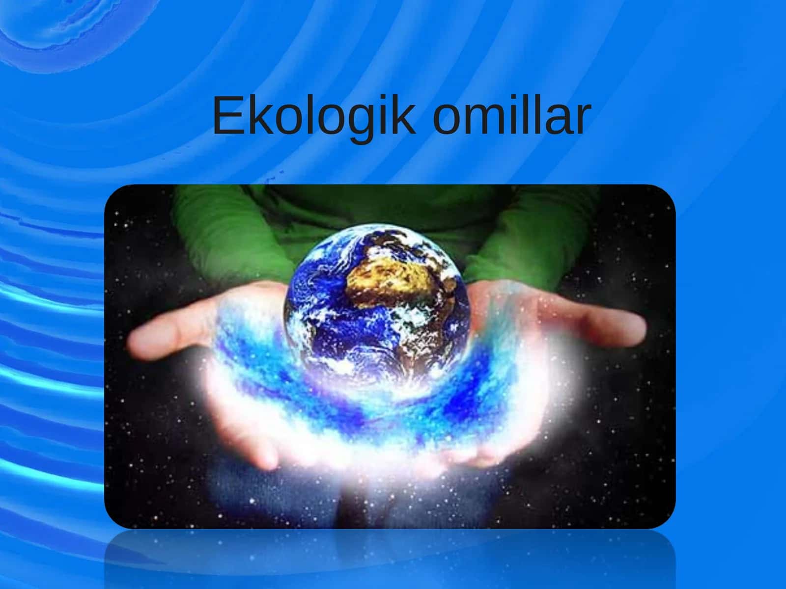 Ekologik omillar