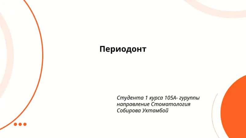 Периодонт
