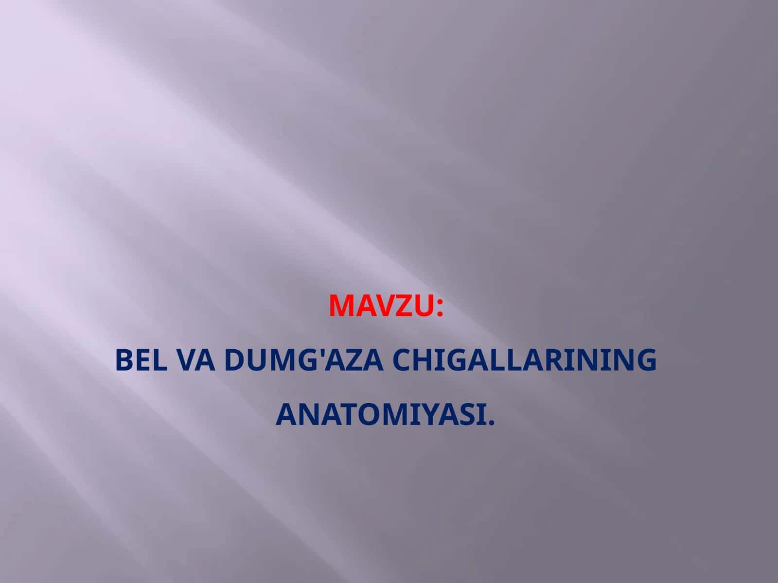Bel va dumg'aza chigallarining anatomiyasi.