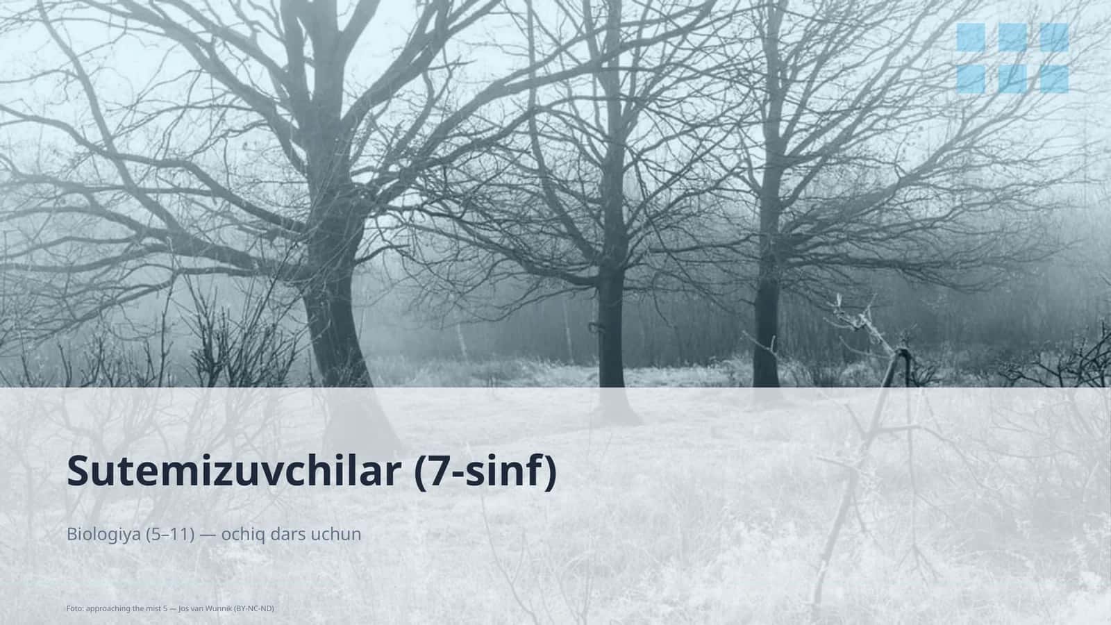 Sutemizuvchilar (7-sinf)