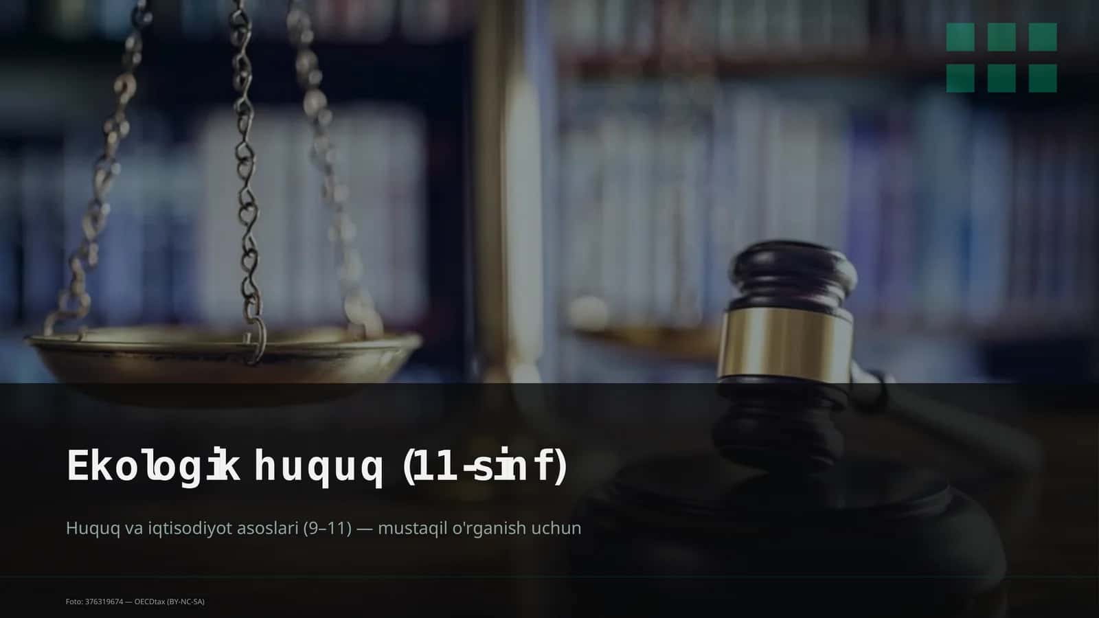 Ekologik huquq (11-sinf)
