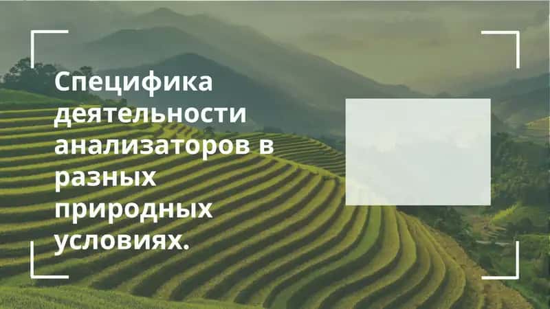 Общее представление об анализаторах