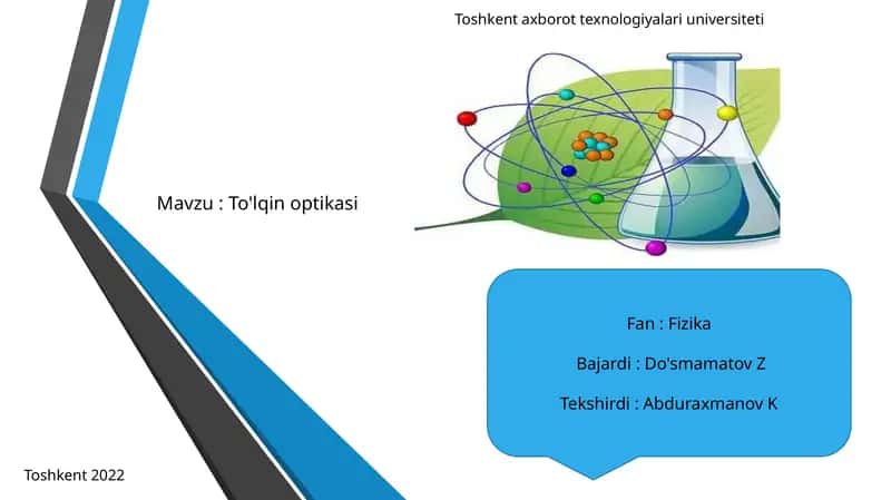 To'lqinoptikasi