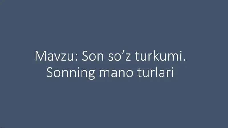 Son so’z turkumi. Sonning mano turlari