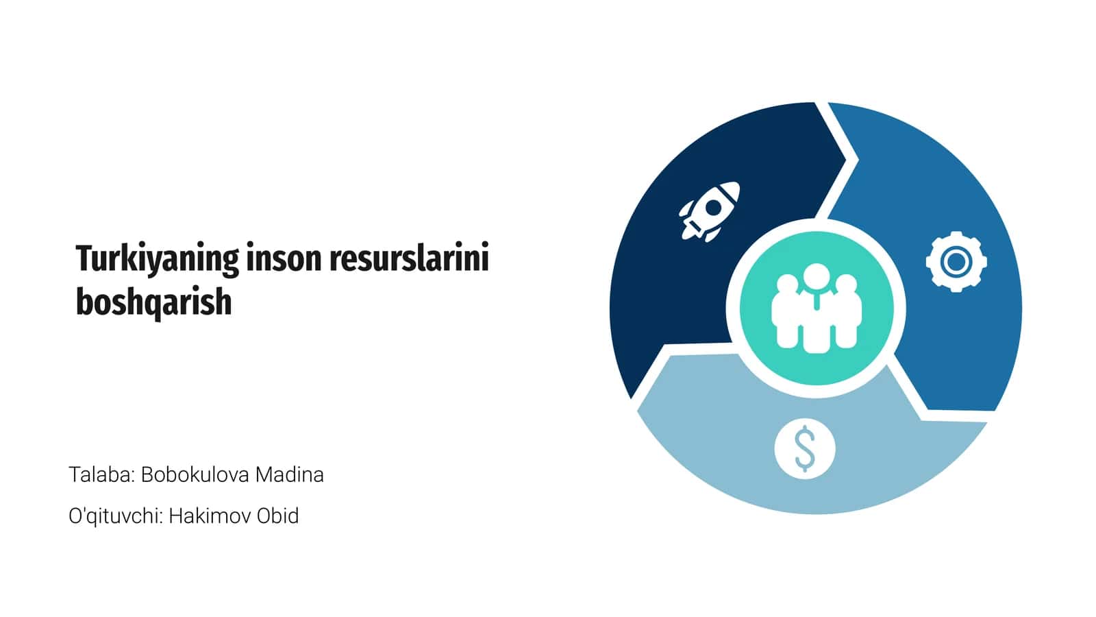 Turkiyaning inson resurslarini boshqarish