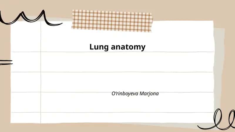 Lung anatomy