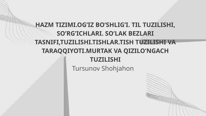 HAZM TIZIMI