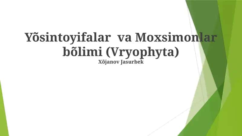 Bryofitlarning Xillari va Xususiyatlari