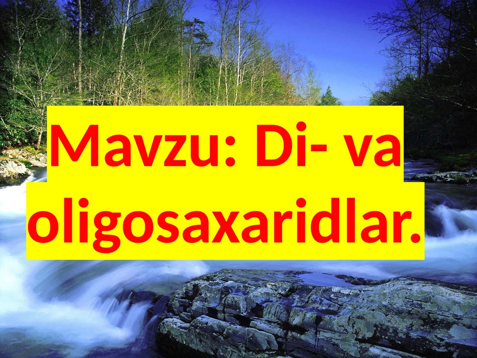 Di-va  oligosaxaridlar