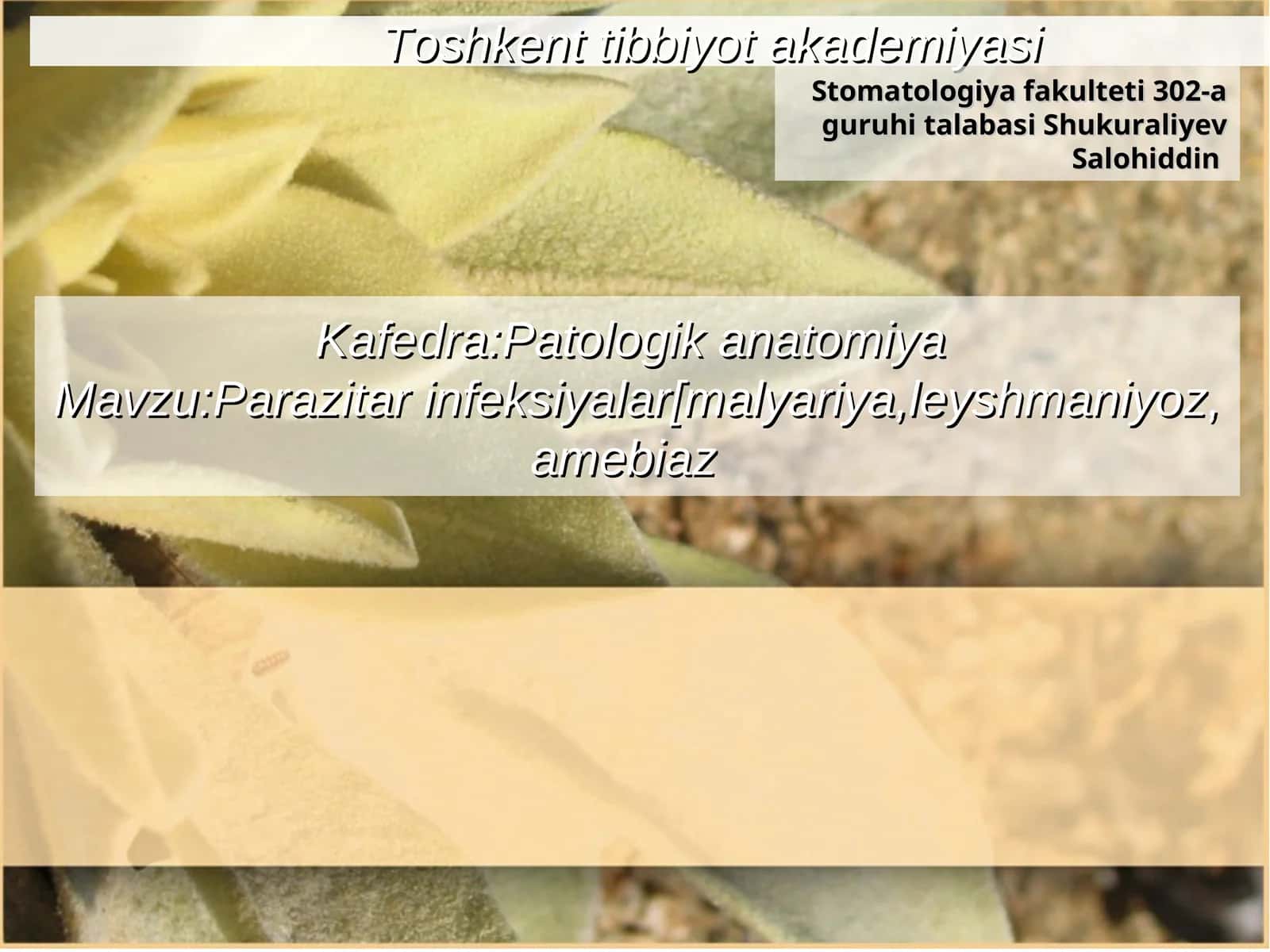 Parazitar infeksiyalar - Leyshmaniyoz
