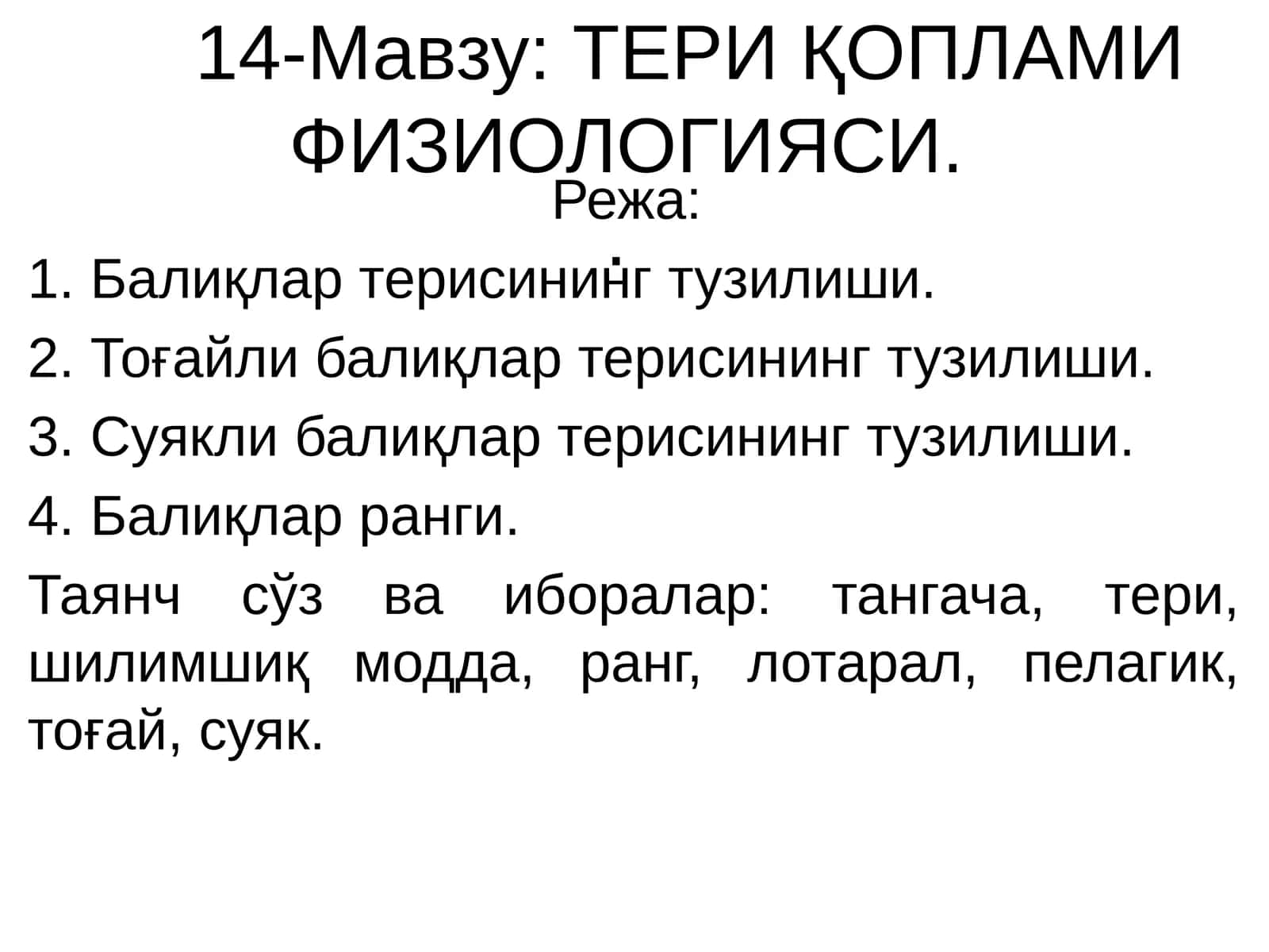 ТЕРИ ҚОПЛАМИ ФИЗИОЛОГИЯСИ