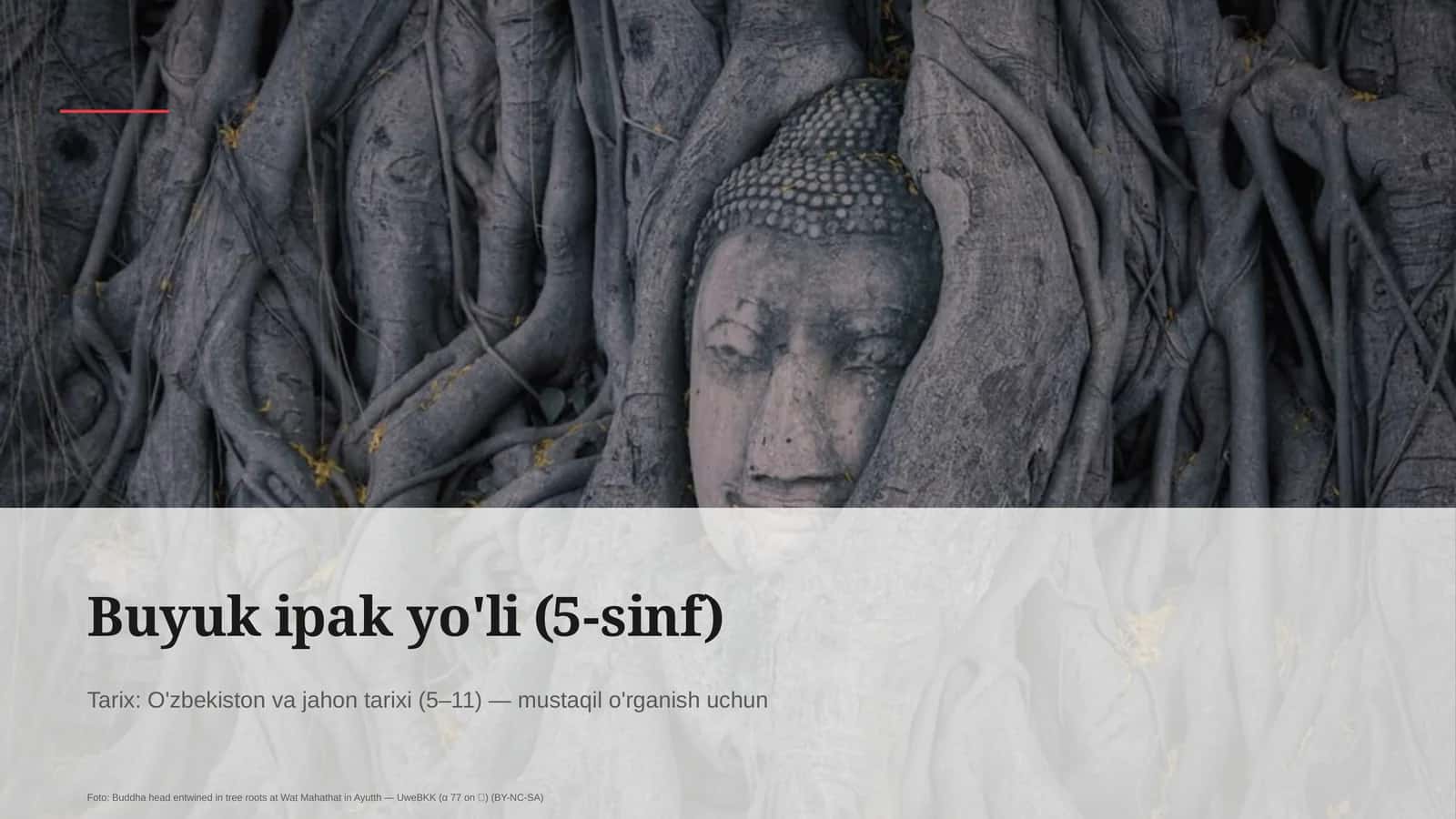 Buyuk ipak yo'li (5-sinf)