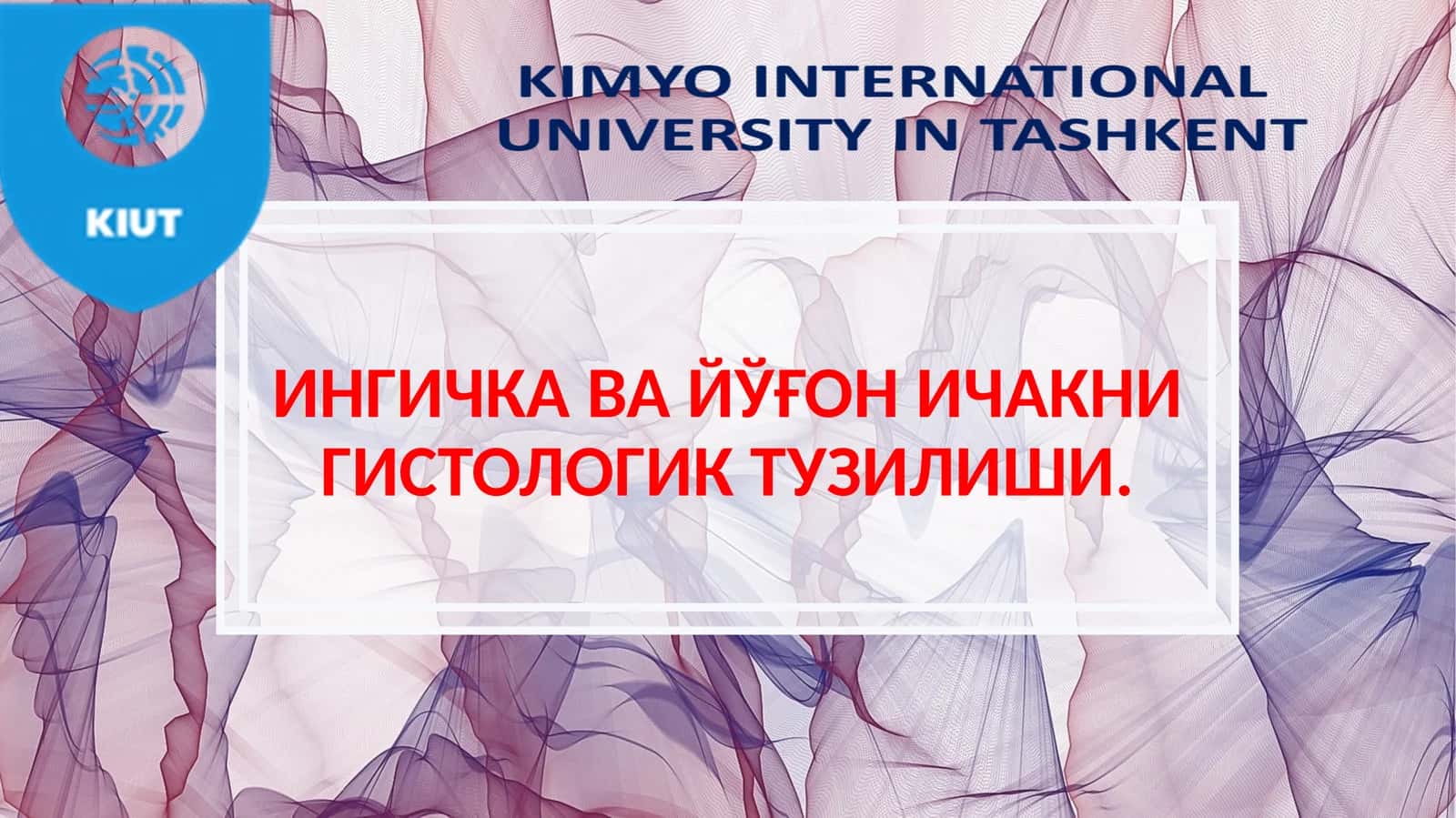 ИНГИЧКА ВА ЙЎҒОН ИЧАКНИ ГИСТОЛОГИК ТУЗИЛИШИ