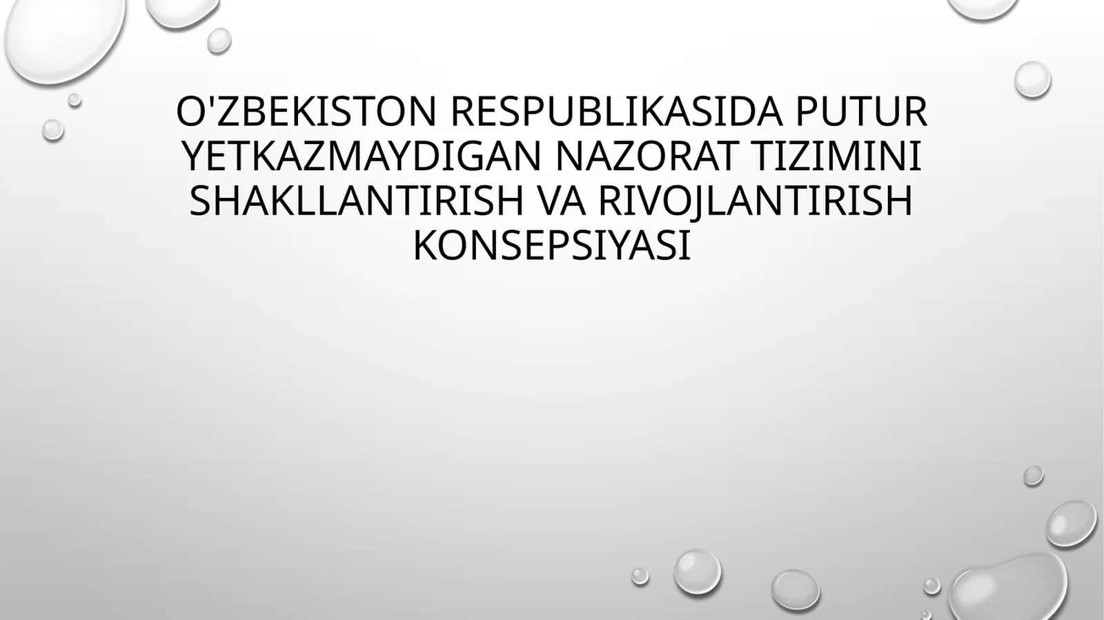 O'zbekiston Respublikasida putur yetkazmaydigan nazorat tizimini shakllantirish va rivojlantirish konsepsiyasi