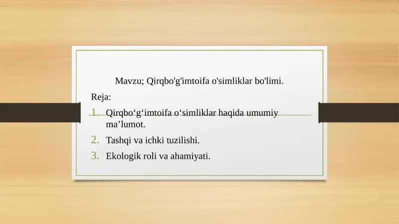 qirqbo'g'imtoifa o'simliklar bo'limi