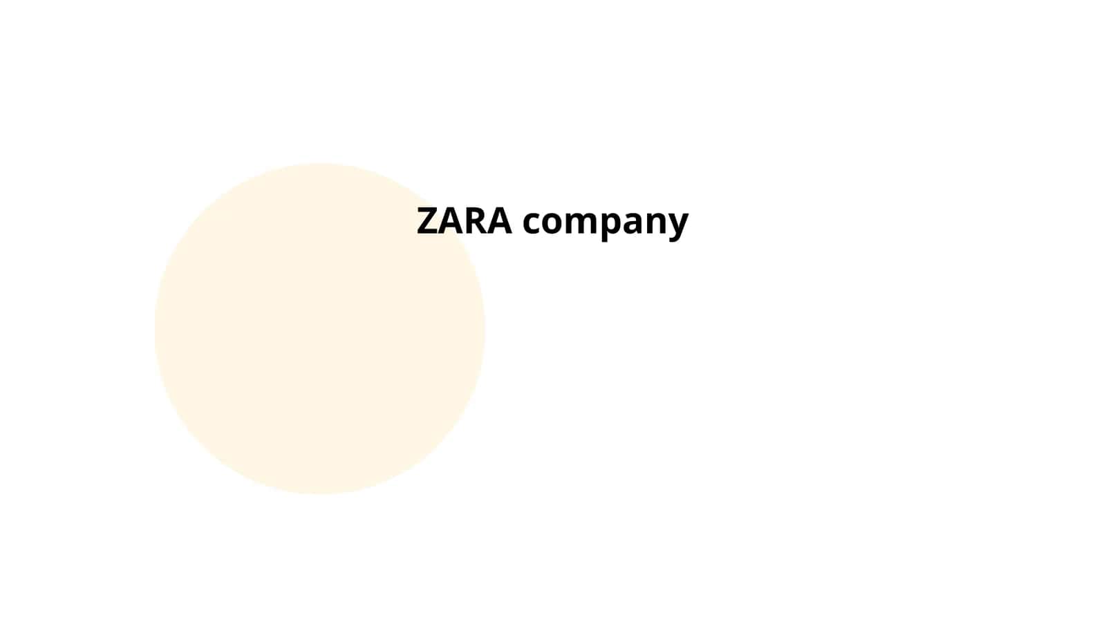 ZARA company