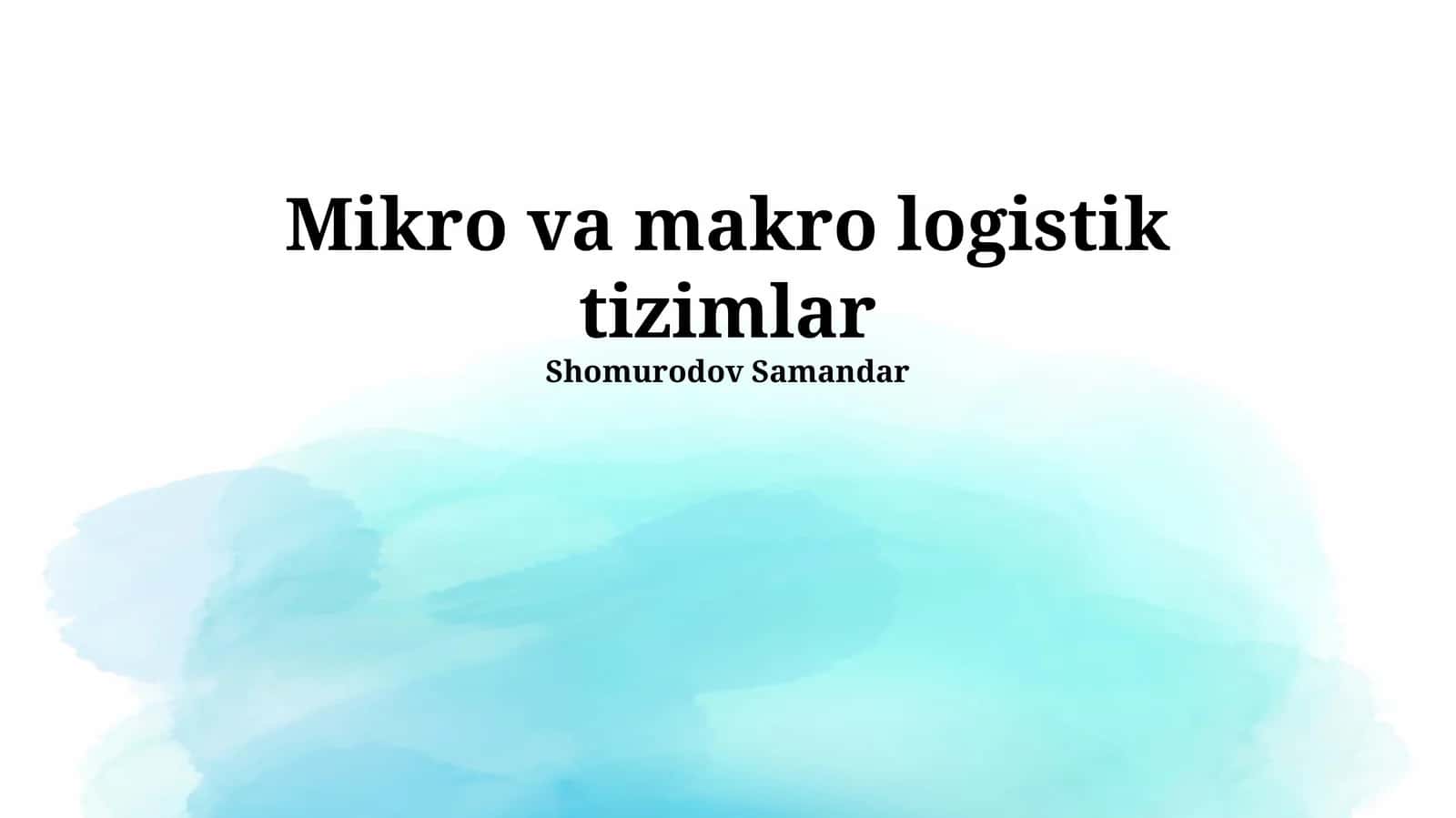 Mikro va makro logistik tizimlar