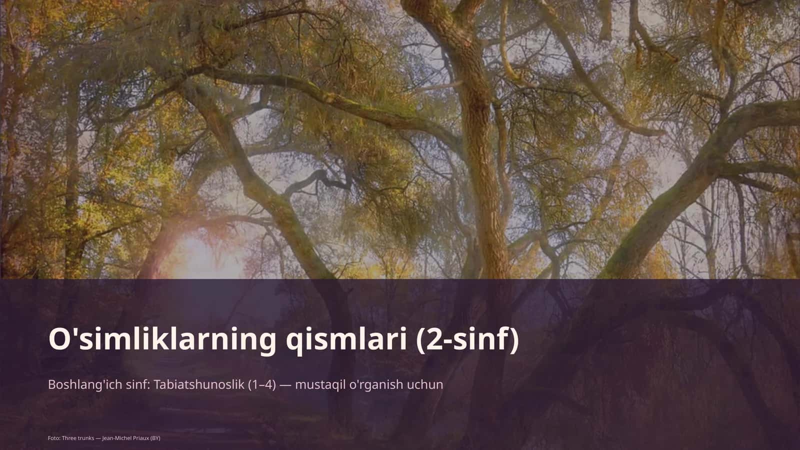 O'simliklarning qismlari (2-sinf)
