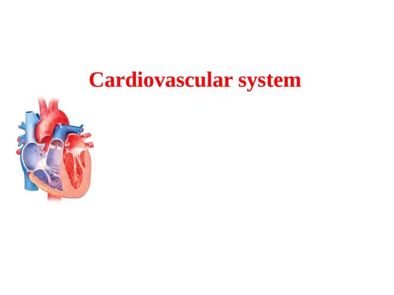 Cardiovascular system