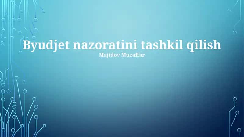 Byudjet nazoratini tashkil qilish
