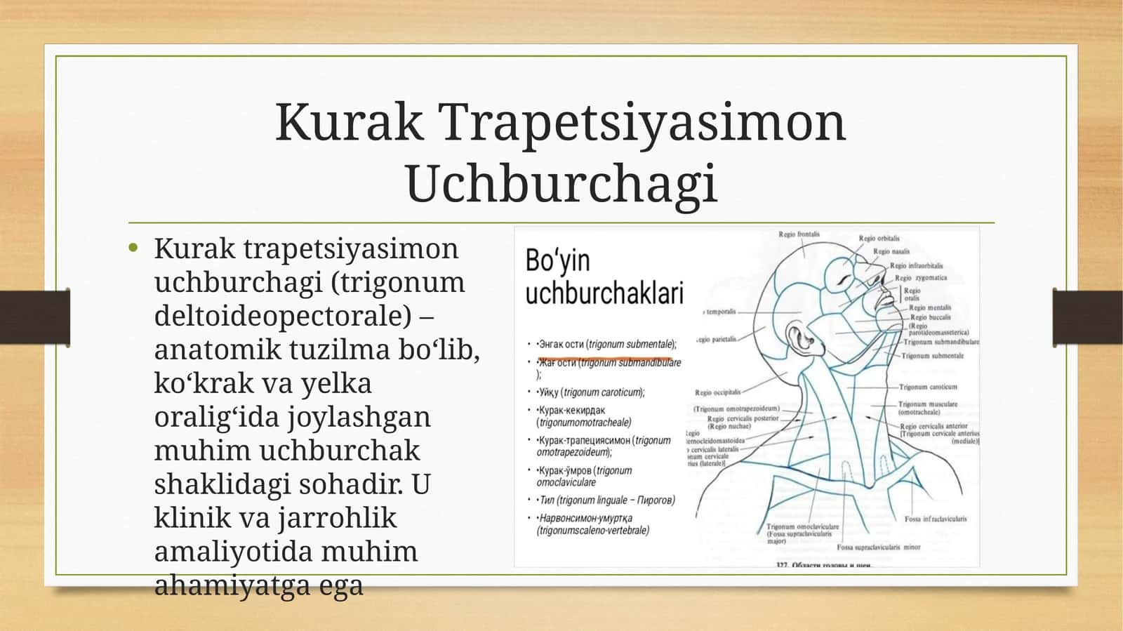 Kurak Trapetsiyasimon uchburchagi