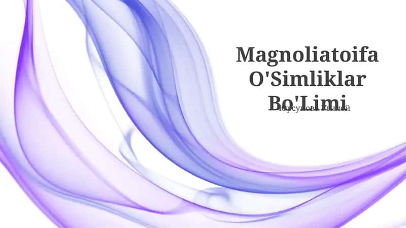 Magnoliatoifa O'Simliklar Bo'Limi