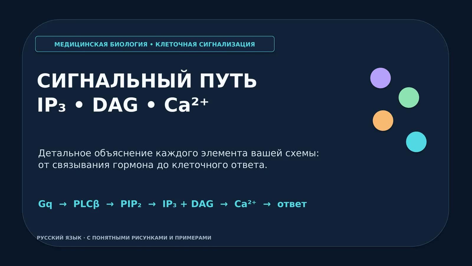 МЕДИЦИНСКАЯ БИОЛОГИЯ • КЛЕТОЧНАЯ СИГНАЛИЗАЦИЯ