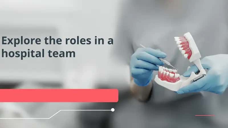 Explore the roles in a hospital team
