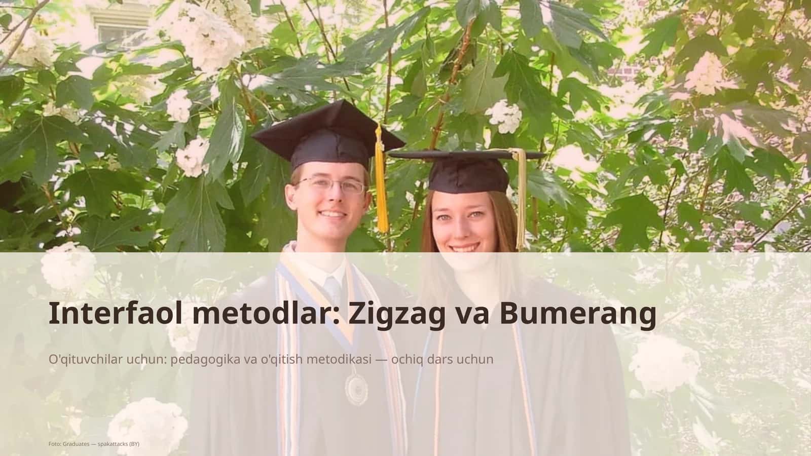 Interfaol metodlar: Zigzag va Bumerang