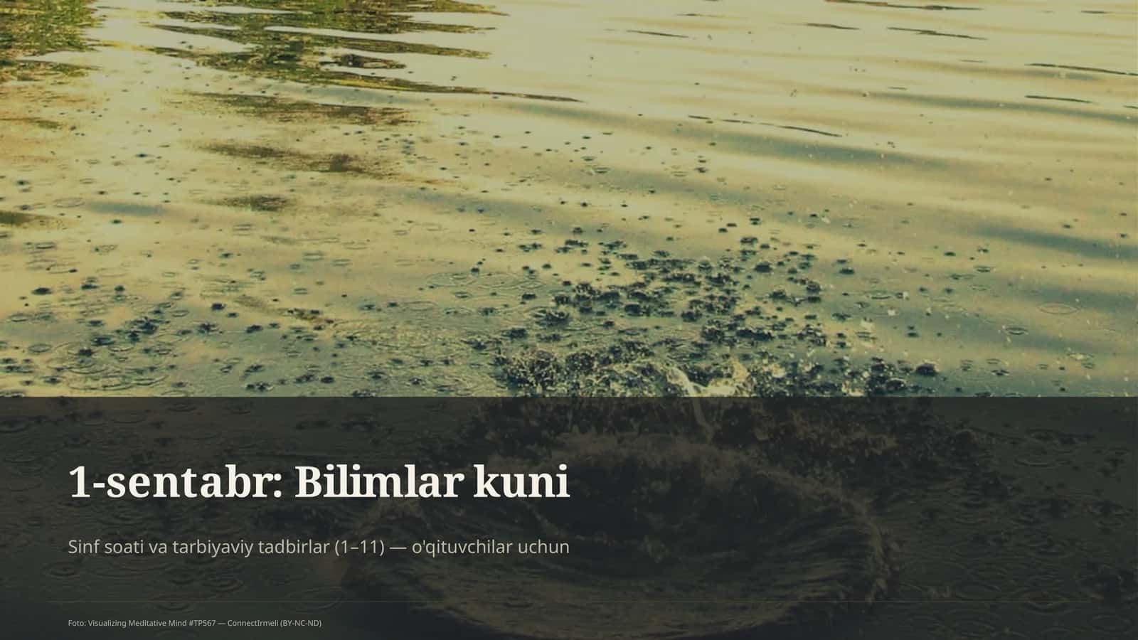 Bilimlar kuni