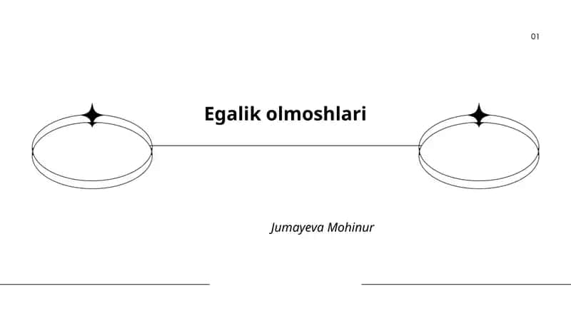 Egalik olmoshlari