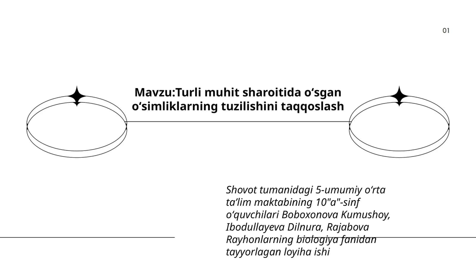 Tayyorlagan loyiha ishi