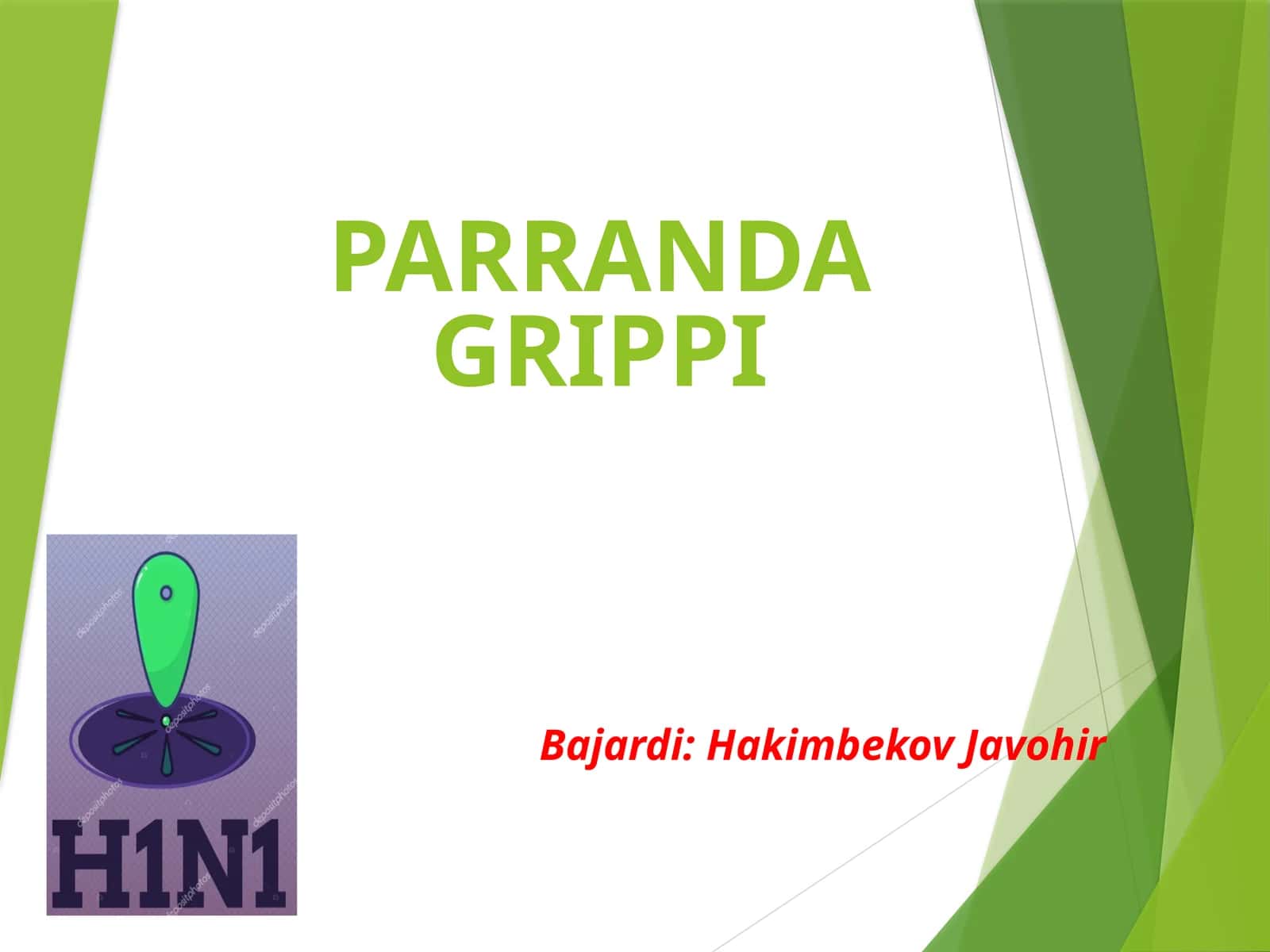 Parranda grippi