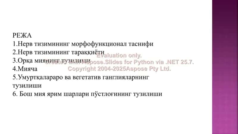 Нерв тизимининг морфофункционал таснифи