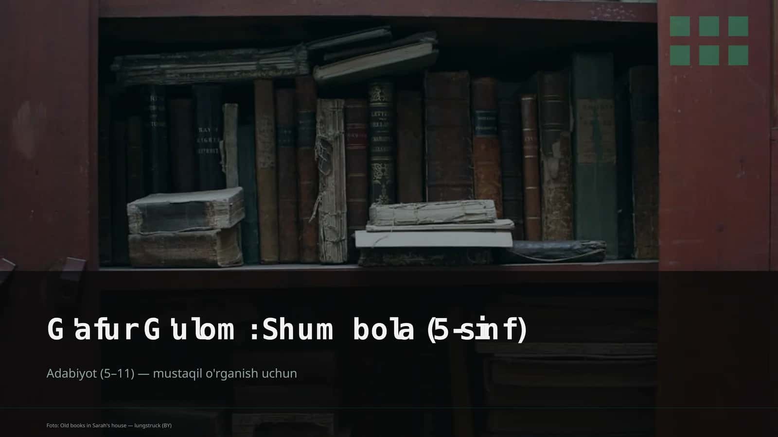 G'afur G'ulom: Shum bola (5-sinf)