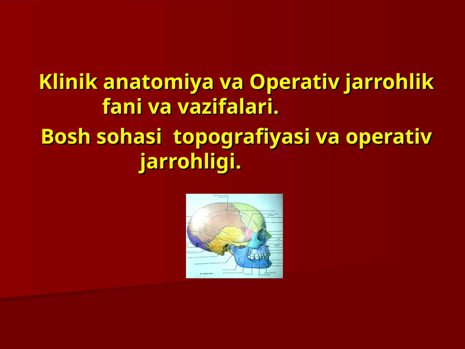 Klinikаnatomiya vaОperativjarrohlikfanivavazifalari