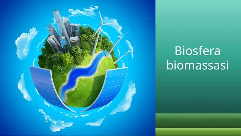 Biosfera biomassasi