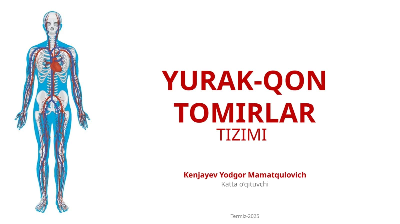 YURAK-QON TOMIRLAR TIZIMI