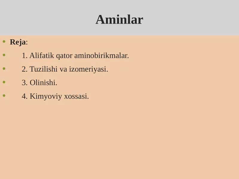 Aminlar