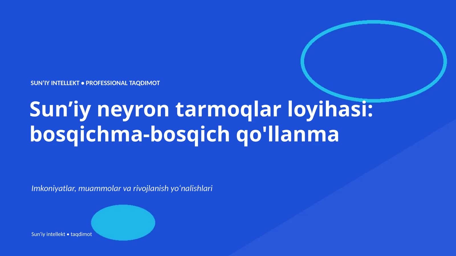 Sun’iy neyron tarmoqlar loyihasi: bosqichma-bosqich qo'llanma