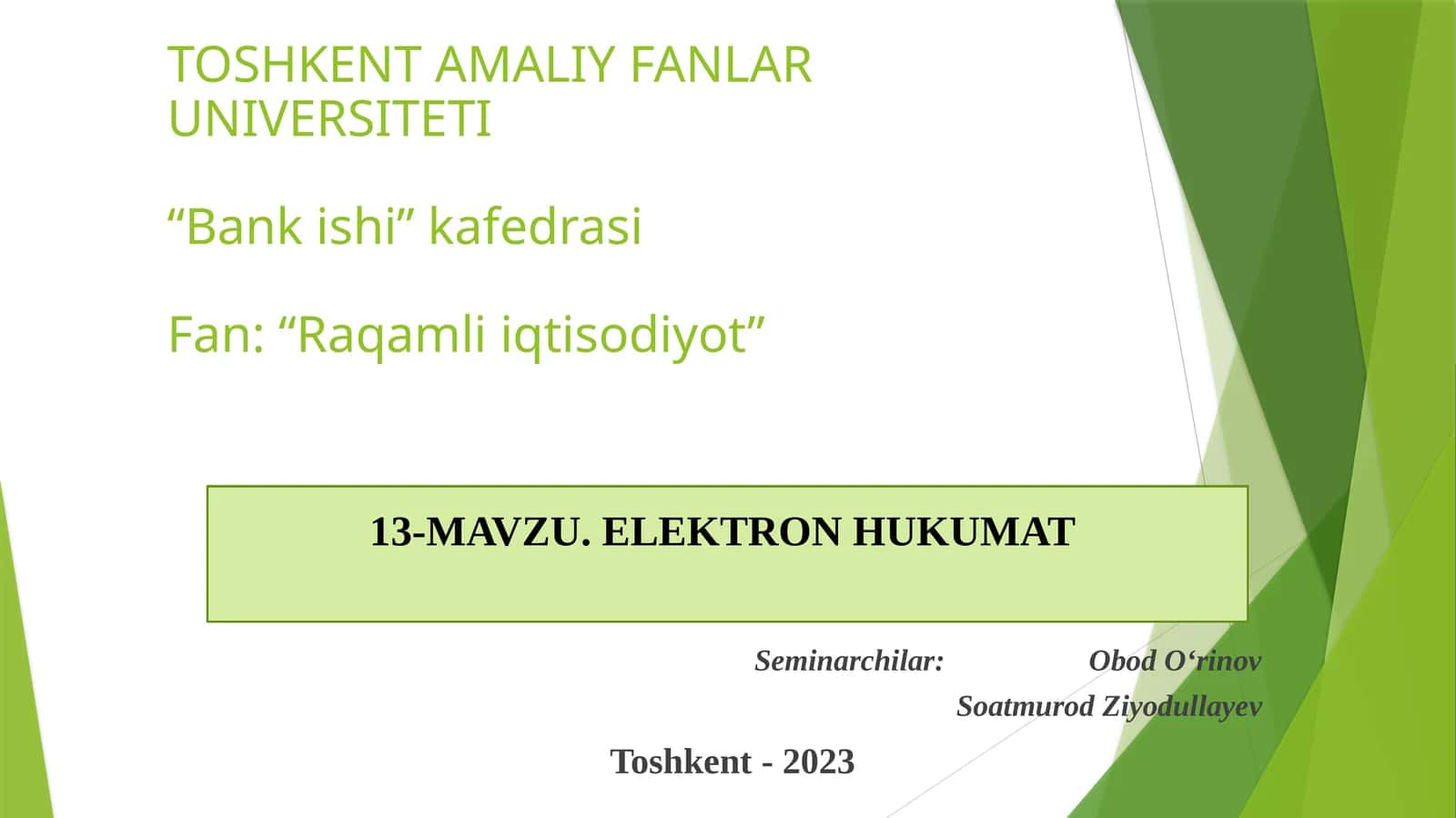 ELEKTRONHUKUMAT