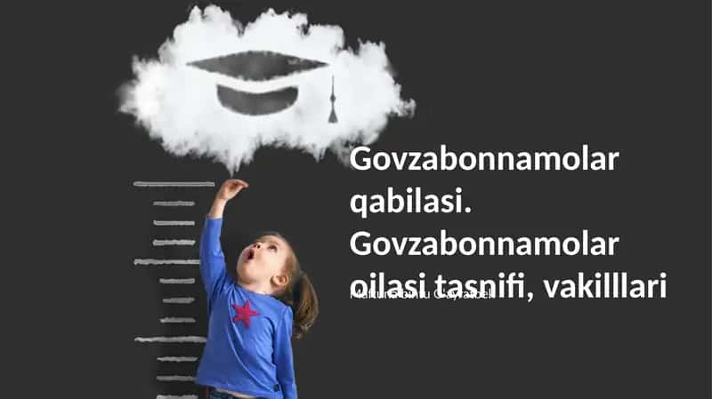 Govzabonnamolar qabilasi