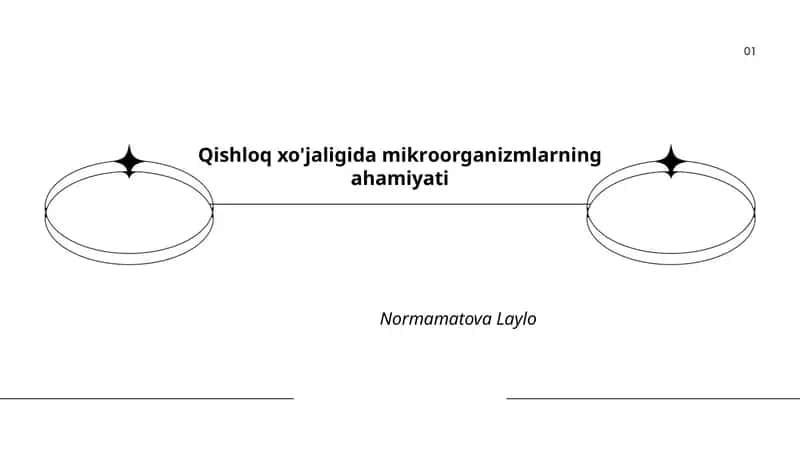 Qishloq xo'jaligida Mikroorganizmlarning Ahamiyati