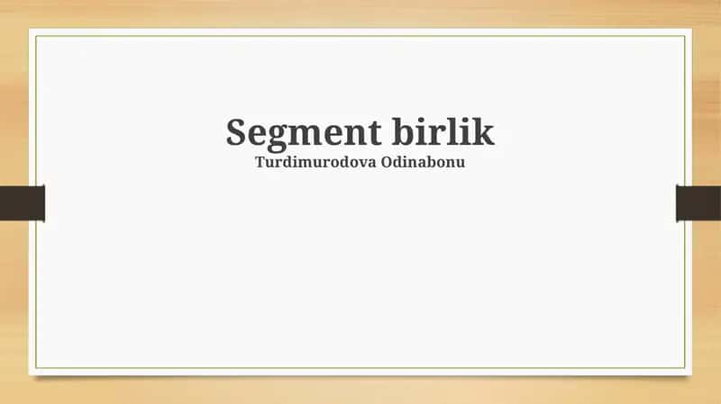 Segment birlik
