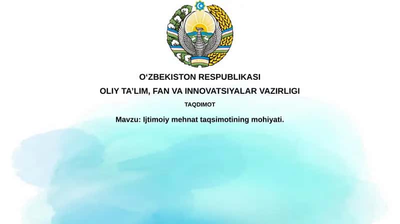 Ijtimoiy mehnat taqsimoti
