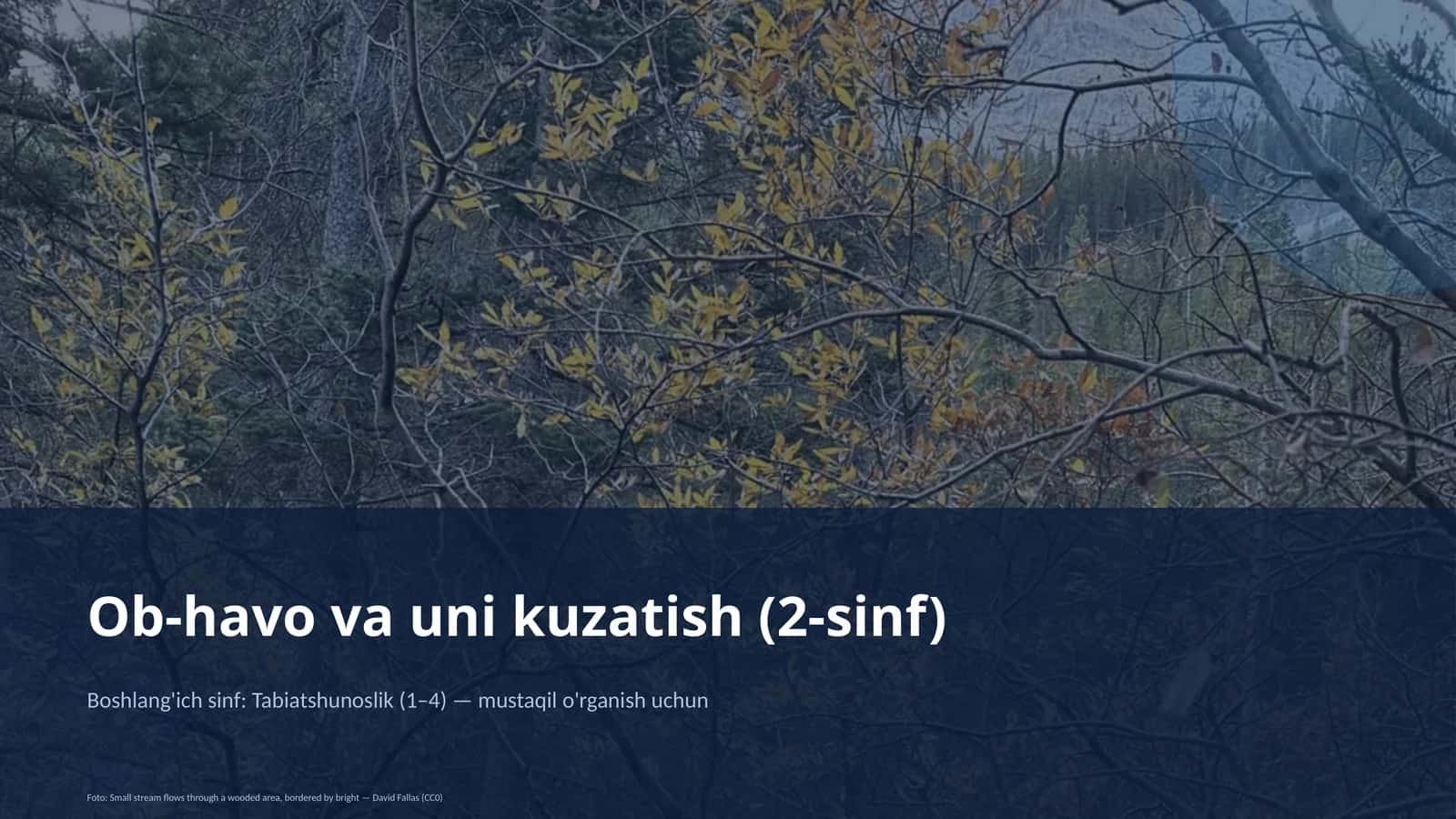 Ob-havo va uni kuzatish (2-sinf)