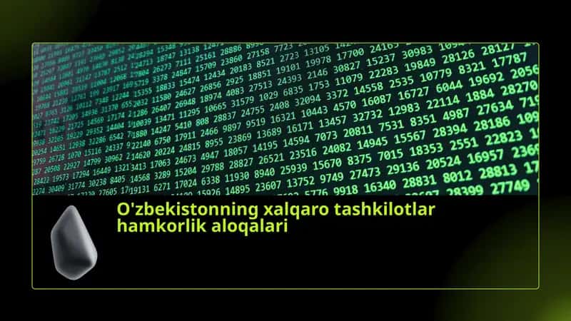 Xalqaro tashkilotlar va O'zbekiston