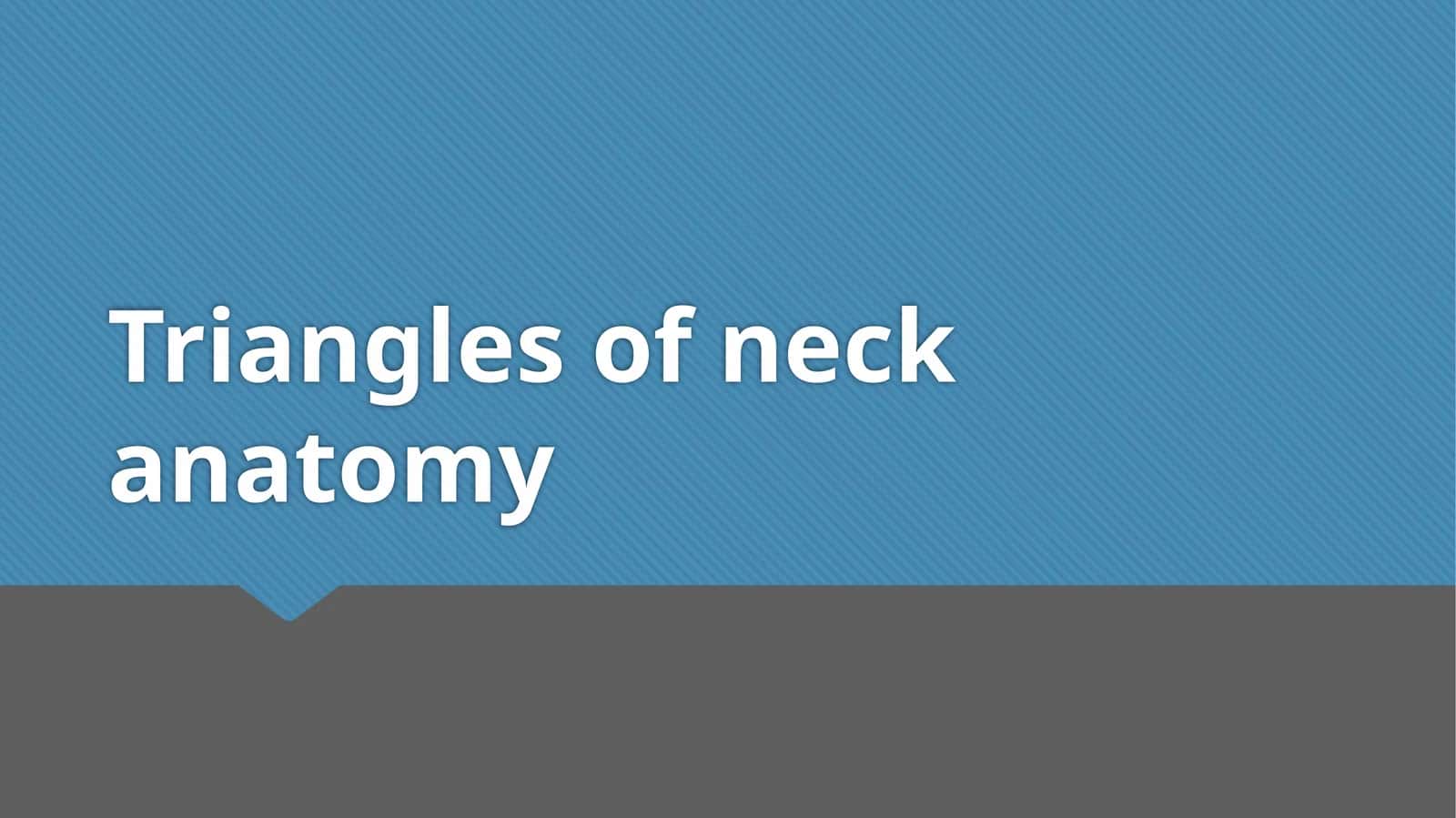 Triangles of neck anatomy