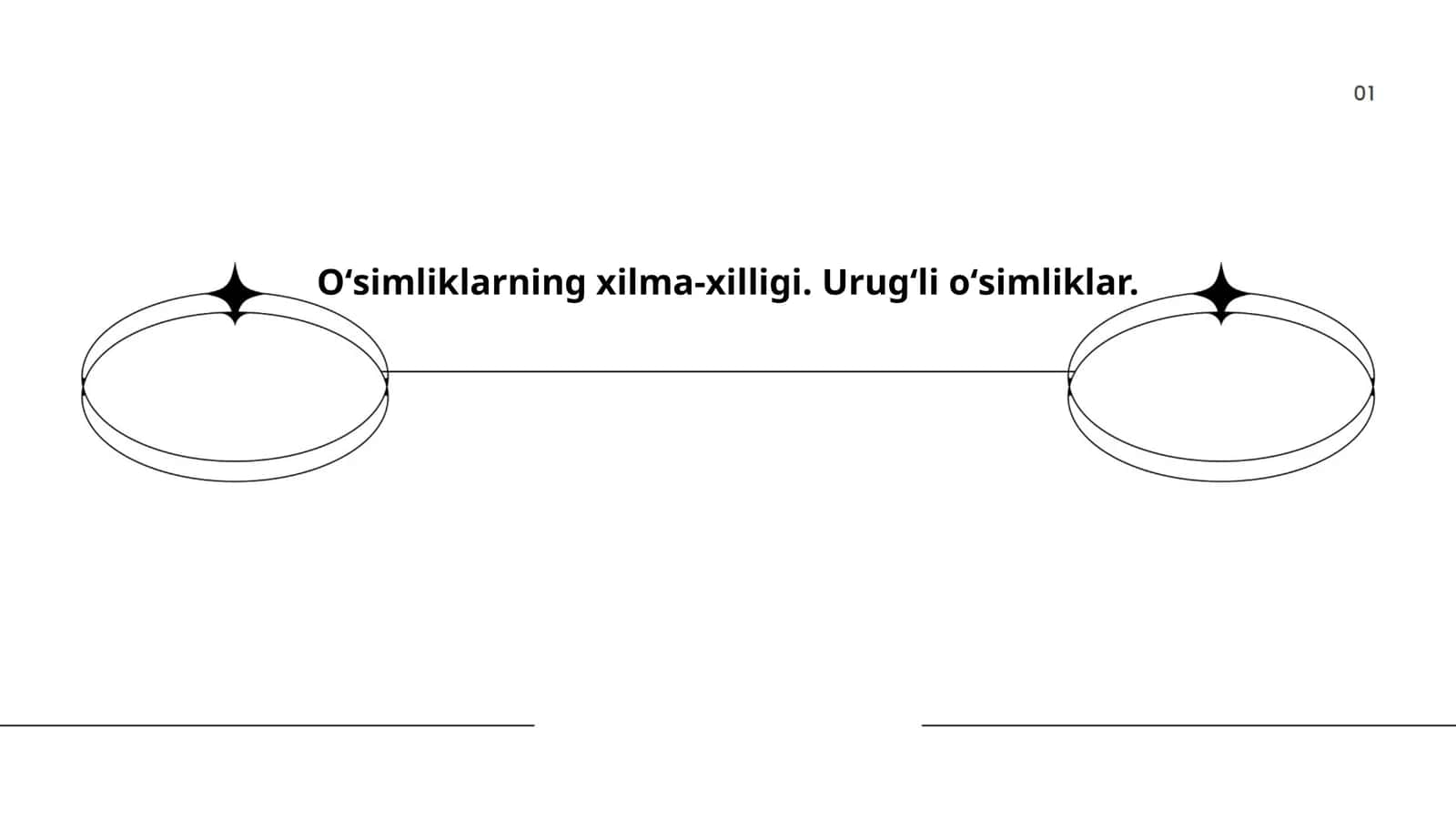 Urug'li o'simliklar dunyoda