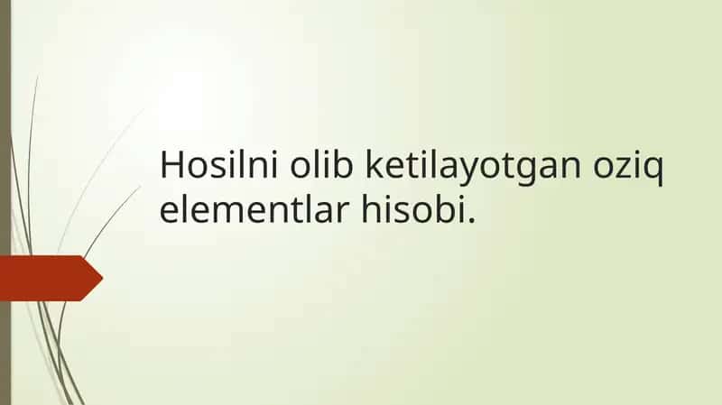 Oziq elementlar hisobi